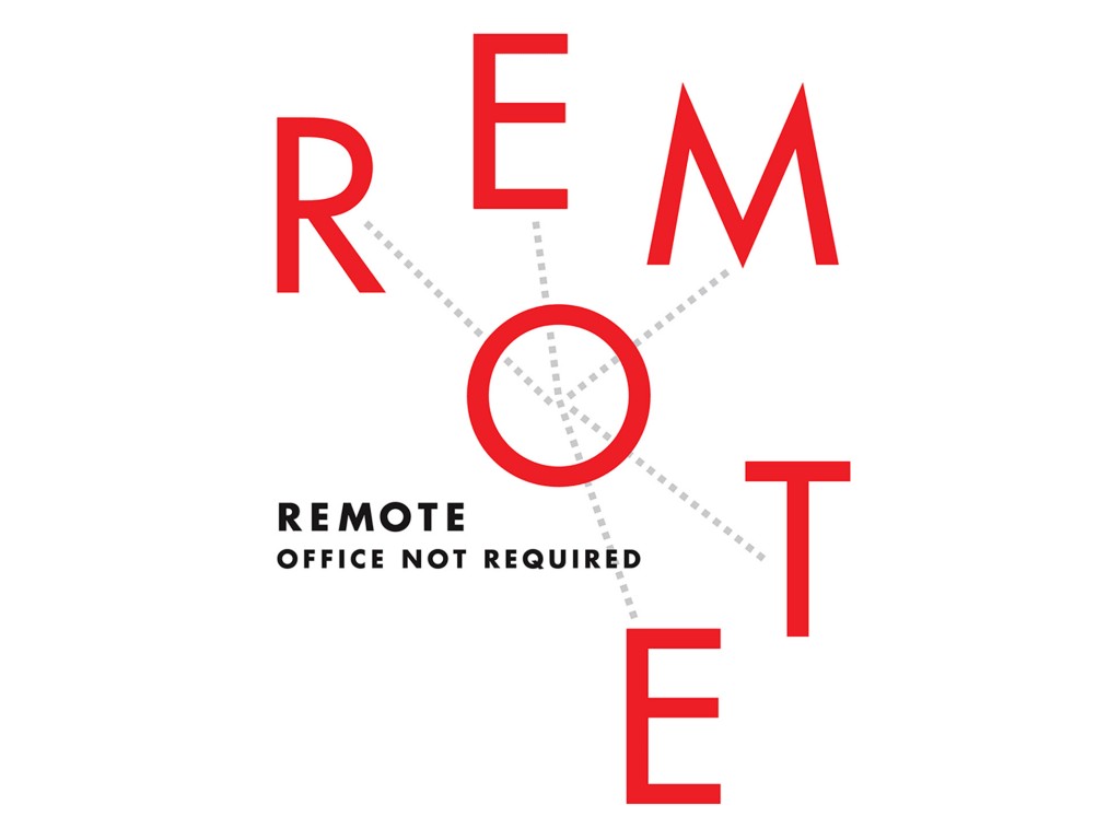 Remote book cover